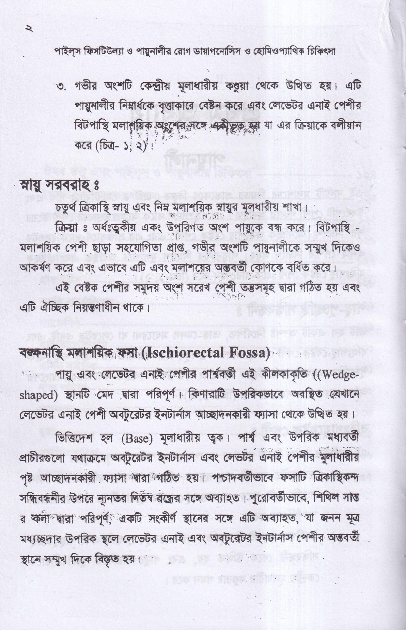 পাইলস ফিসটিউল্যা ও পায়ুনালীর রোগ (ডায়াগনোসিস ও হোমিওপ্যাথিক চিকিৎসা)
