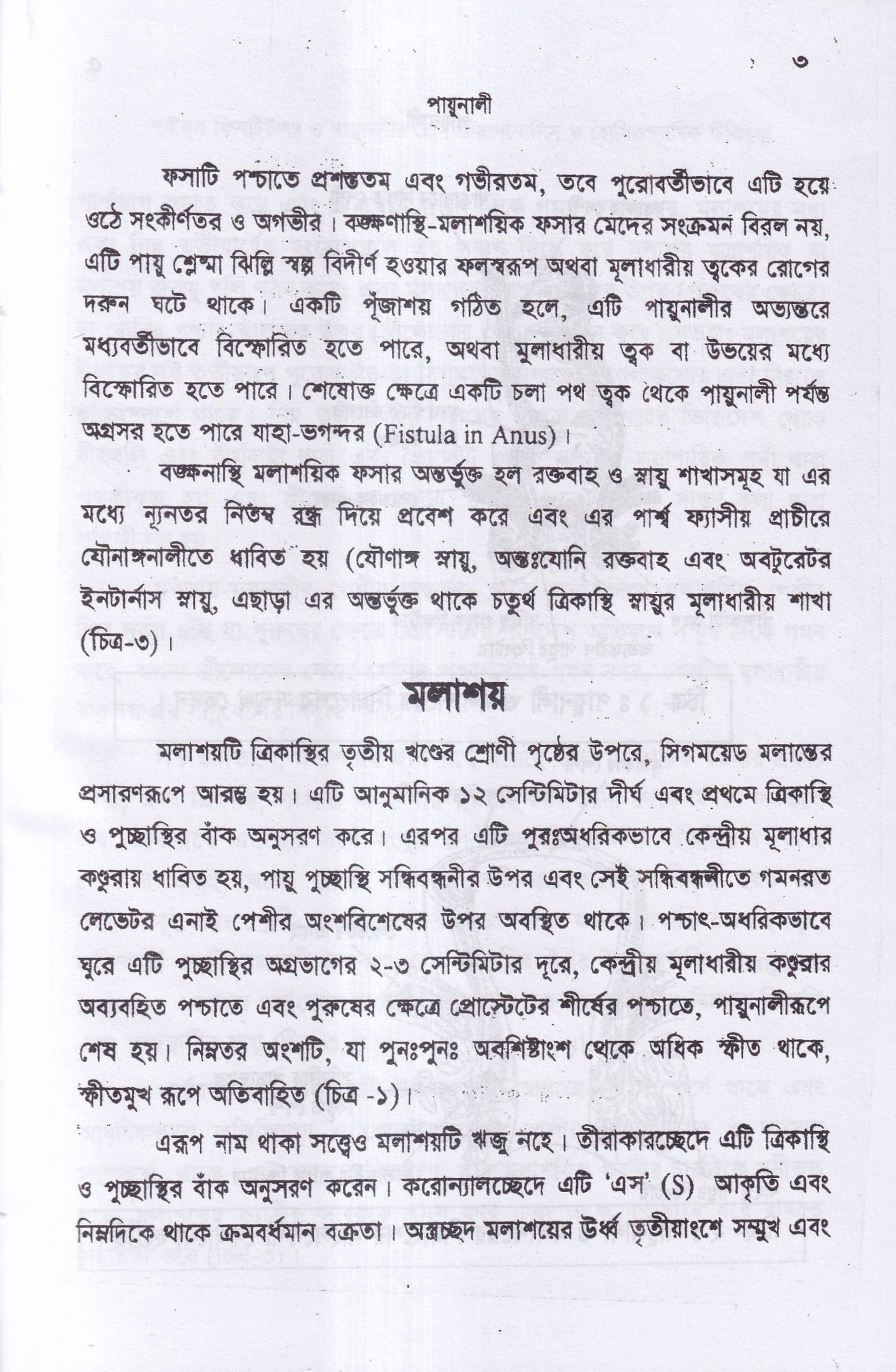 পাইলস ফিসটিউল্যা ও পায়ুনালীর রোগ (ডায়াগনোসিস ও হোমিওপ্যাথিক চিকিৎসা)