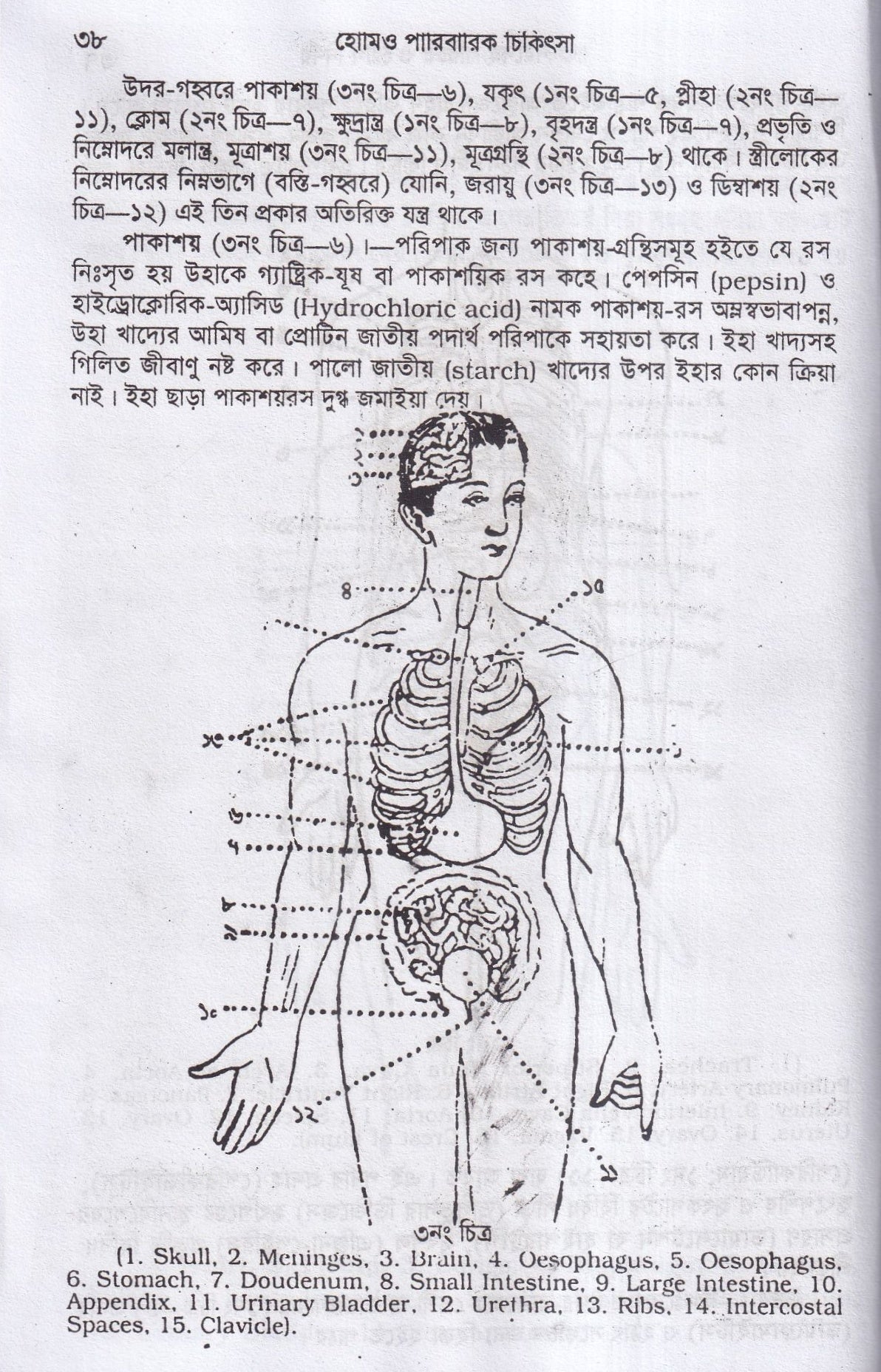হোমিওপ্যাথিক পারিবারিক চিকিৎসা