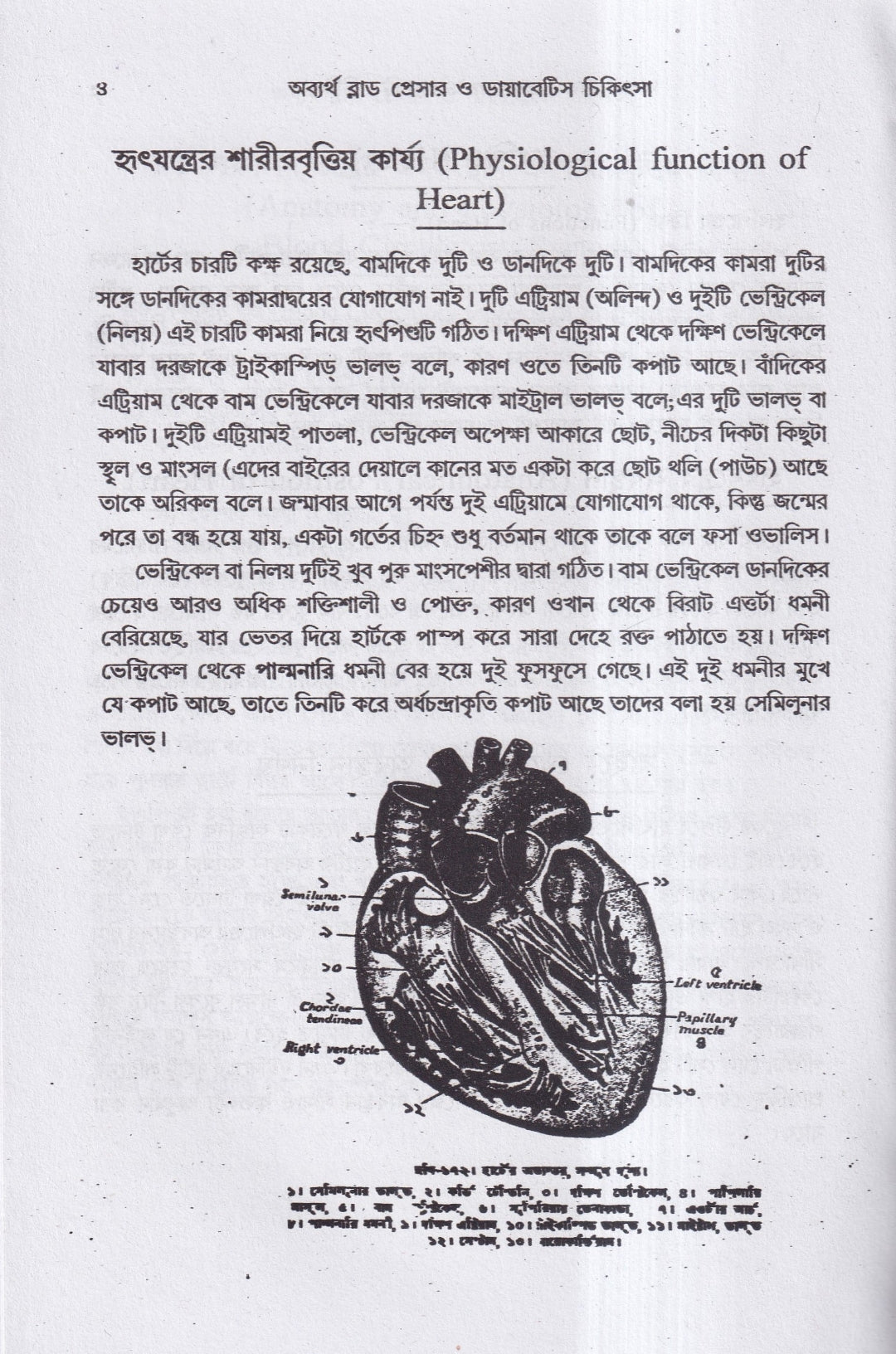 অব্যর্থ ব্লাডপ্রেসার ও ডায়াবেটিস চিকিৎসা