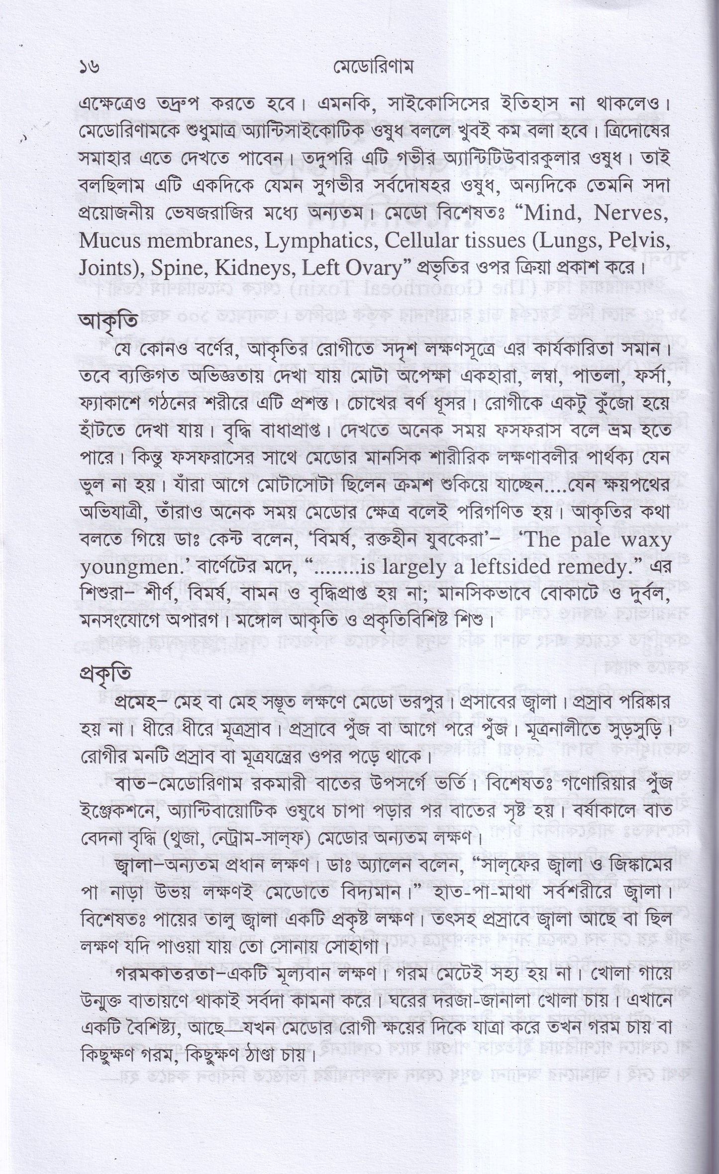 মেডোরিণাম