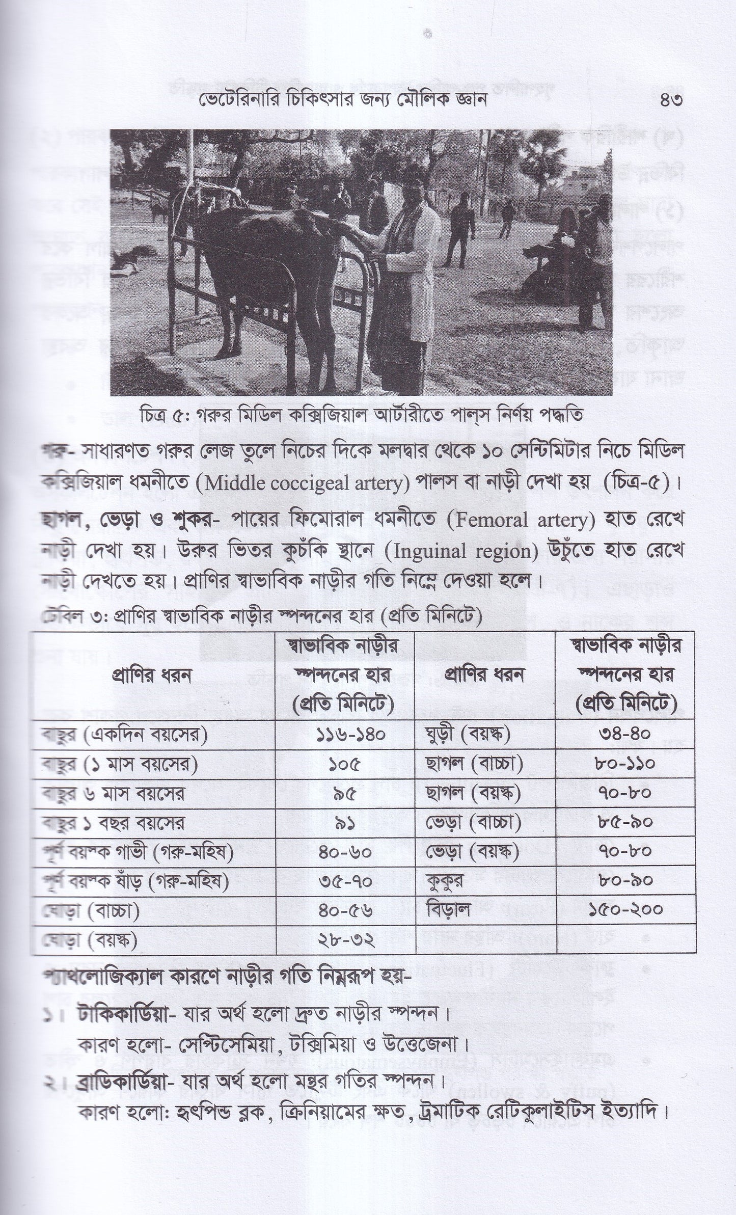 গৃহপালিত পশু-পাখির রোগব্যাধি ও আধুনিক চিকিৎসা পদ্ধতি