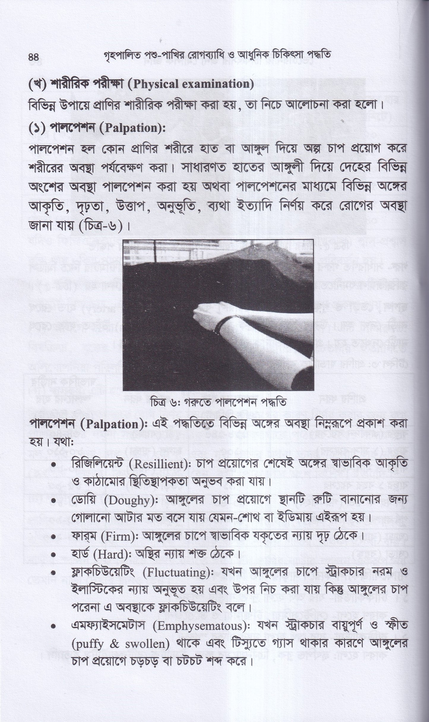 গৃহপালিত পশু-পাখির রোগব্যাধি ও আধুনিক চিকিৎসা পদ্ধতি
