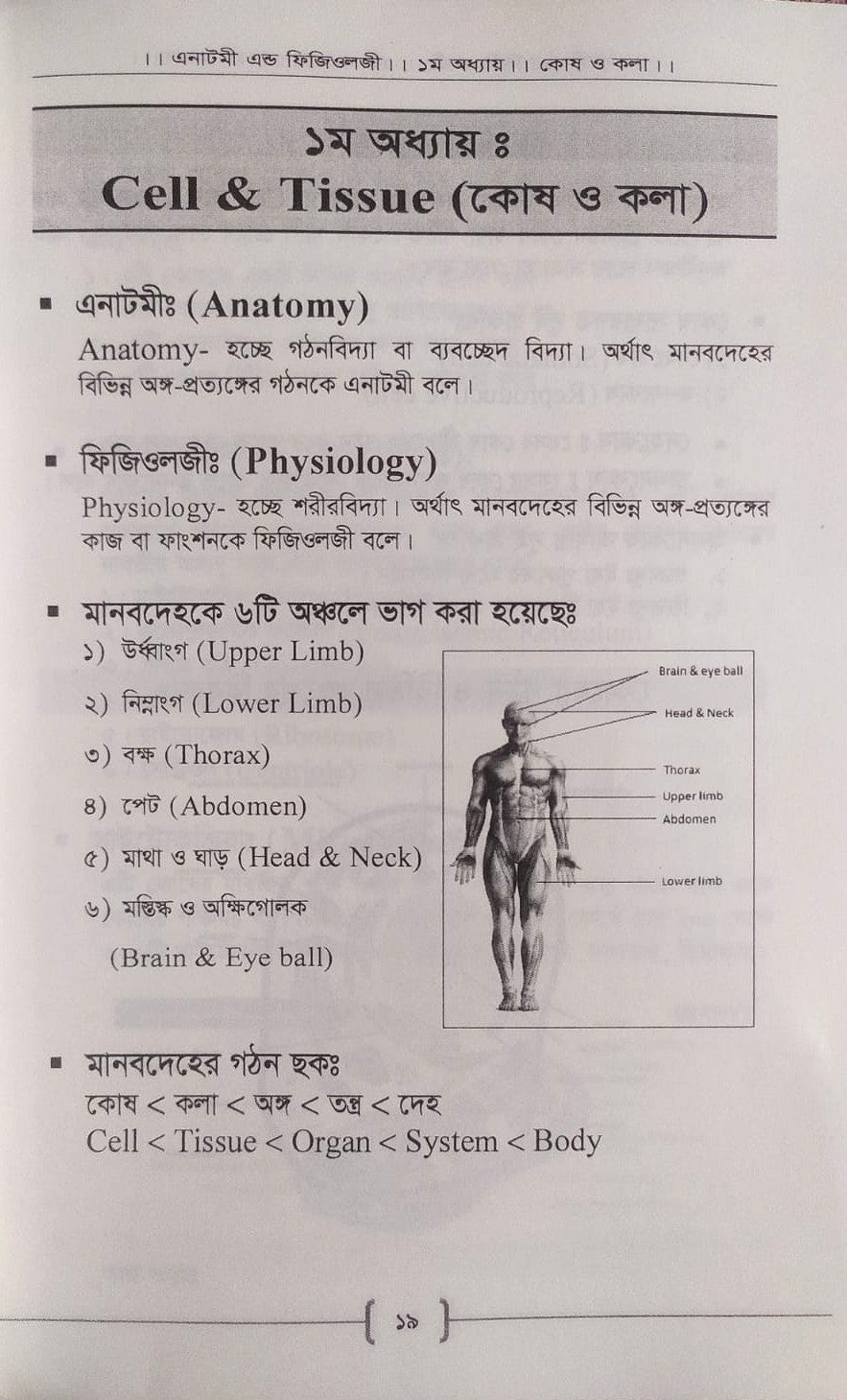 প্যারামেডিক্স