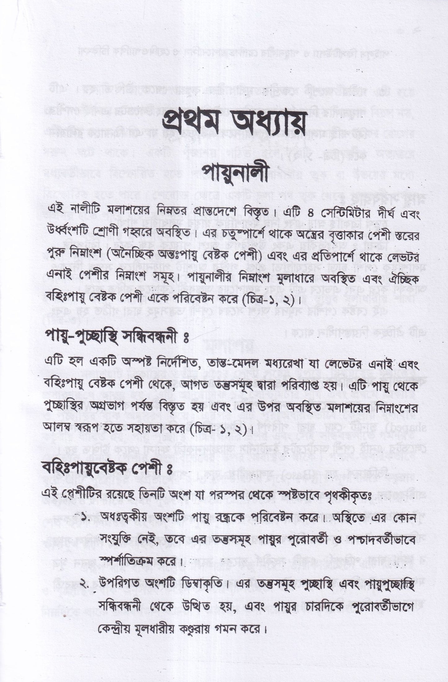 পাইলস ফিসটিউল্যা ও পায়ুনালীর রোগ (ডায়াগনোসিস ও হোমিওপ্যাথিক চিকিৎসা)