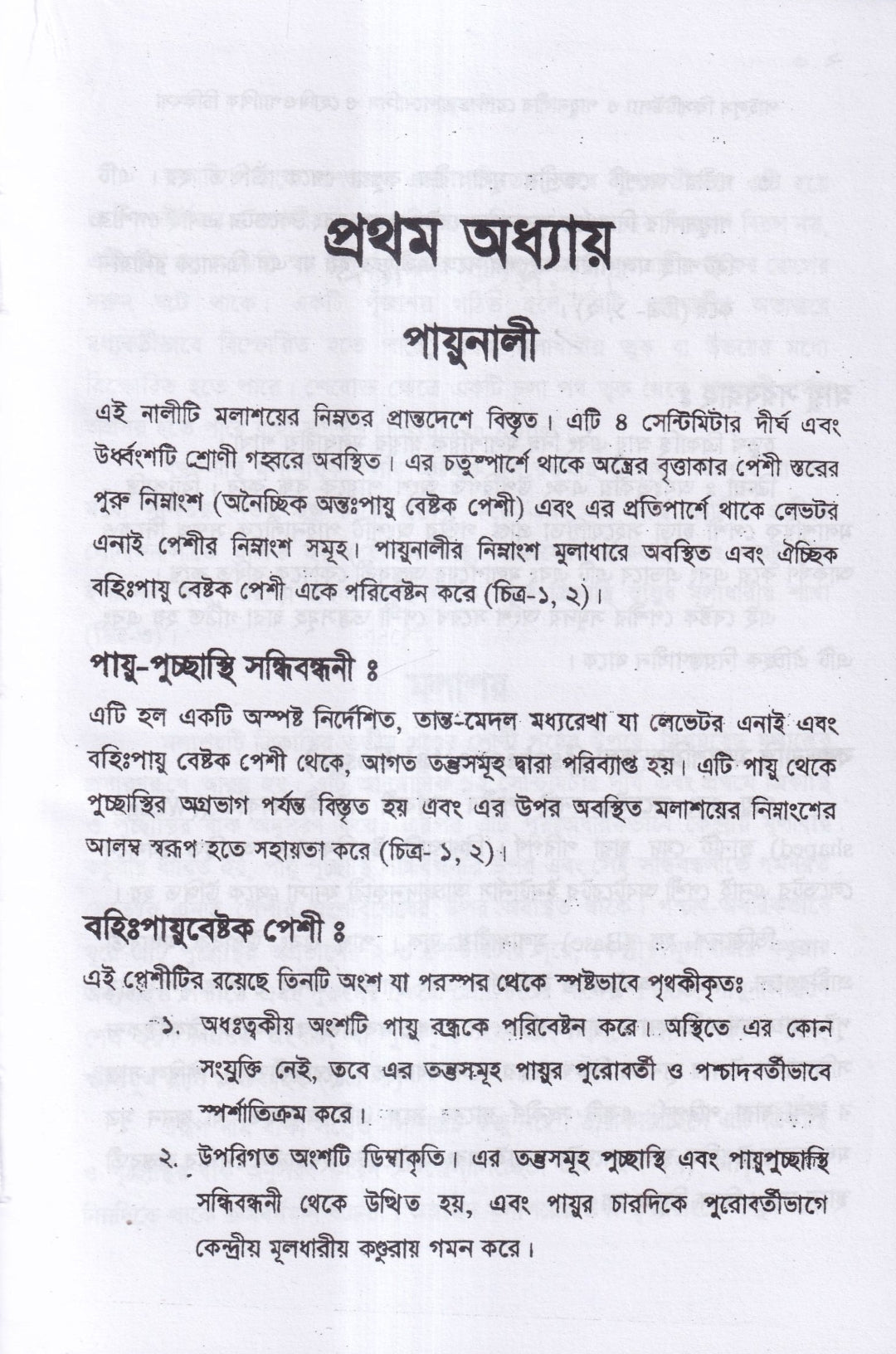 ৪টি হোমিওপ্যাথিক বইয়ের কম্বো প্যাকেজ