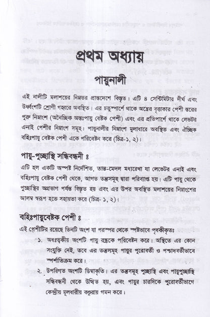 ৪টি হোমিওপ্যাথিক বইয়ের কম্বো প্যাকেজ