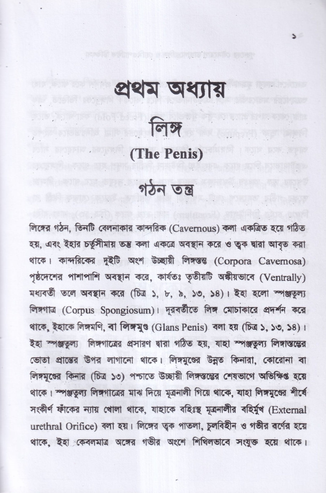পুরুষের যৌনরোগ ডায়াগনোসিস ও হোমিওপ্যাথিক চিকিৎসা