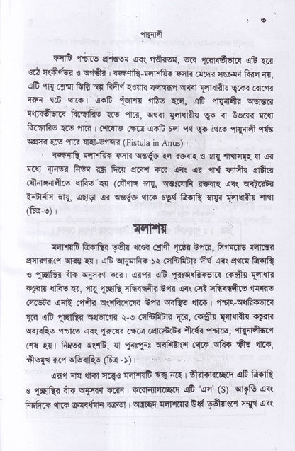 পাইলস ফিসটিউল্যা ও পায়ুনালীর রোগ (ডায়াগনোসিস ও হোমিওপ্যাথিক চিকিৎসা)