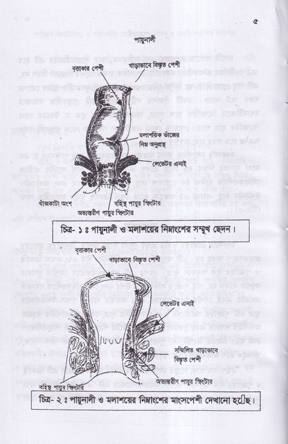 পাইলস ফিসটিউল্যা ও পায়ুনালীর রোগ (ডায়াগনোসিস ও হোমিওপ্যাথিক চিকিৎসা)