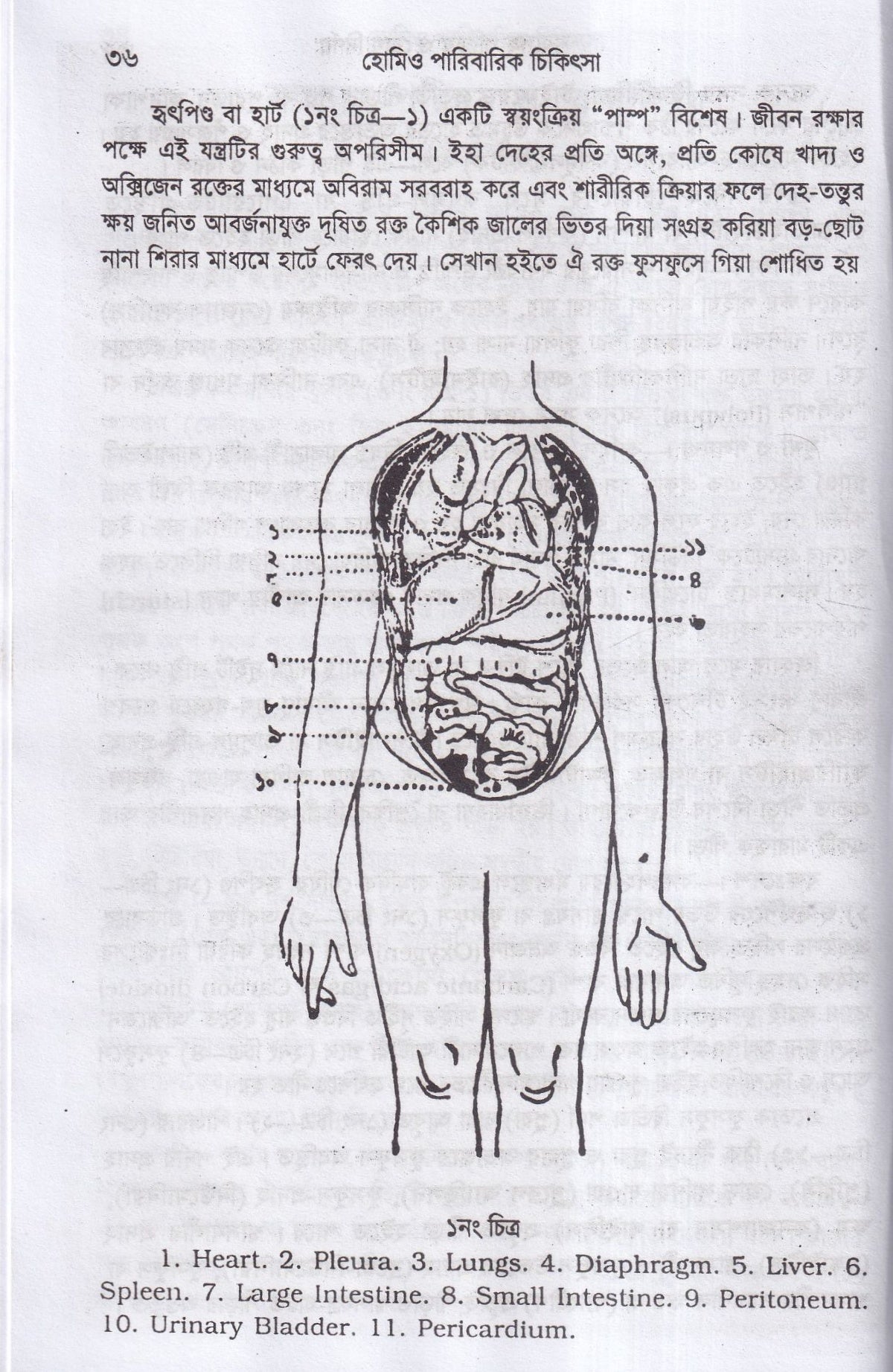 হোমিওপ্যাথিক পারিবারিক চিকিৎসা