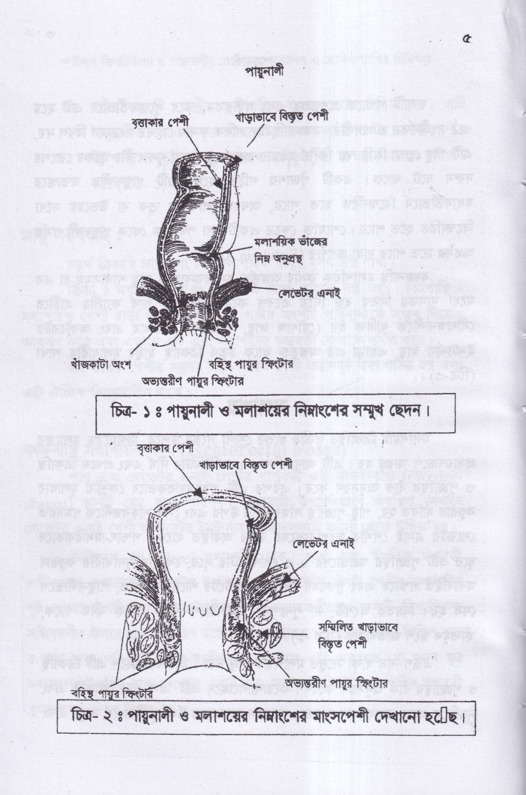 ৪টি হোমিওপ্যাথিক বইয়ের কম্বো প্যাকেজ
