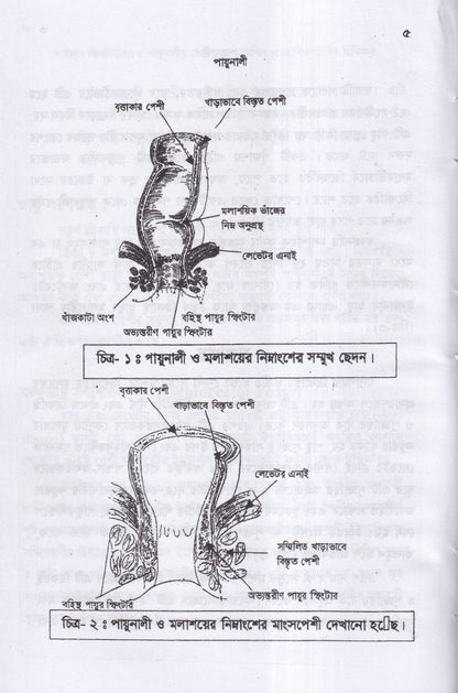 ৪টি হোমিওপ্যাথিক বইয়ের কম্বো প্যাকেজ