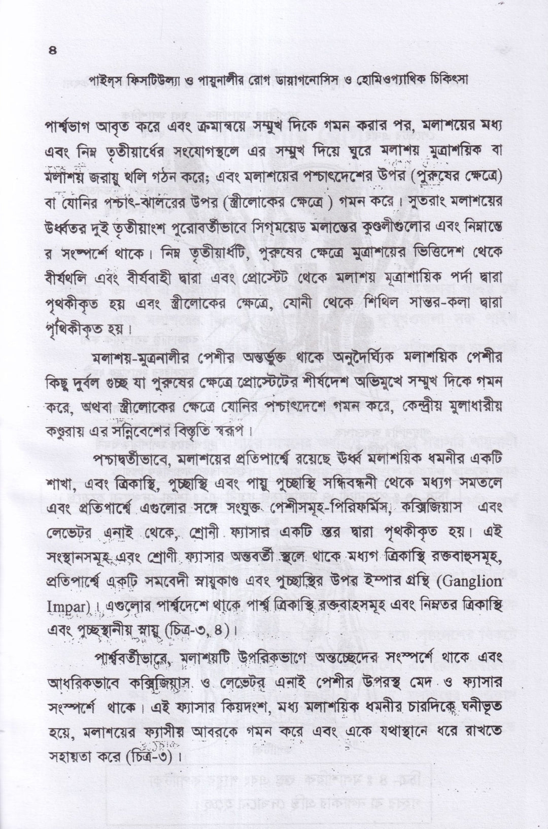 ৪টি হোমিওপ্যাথিক বইয়ের কম্বো প্যাকেজ