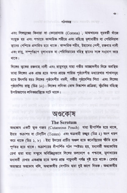 পুরুষের যৌনরোগ ডায়াগনোসিস ও হোমিওপ্যাথিক চিকিৎসা
