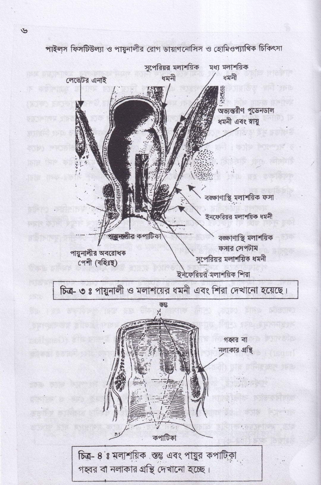 ৪টি হোমিওপ্যাথিক বইয়ের কম্বো প্যাকেজ