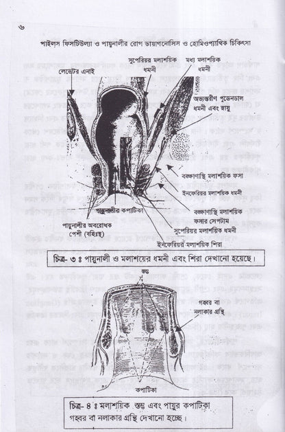 ৪টি হোমিওপ্যাথিক বইয়ের কম্বো প্যাকেজ