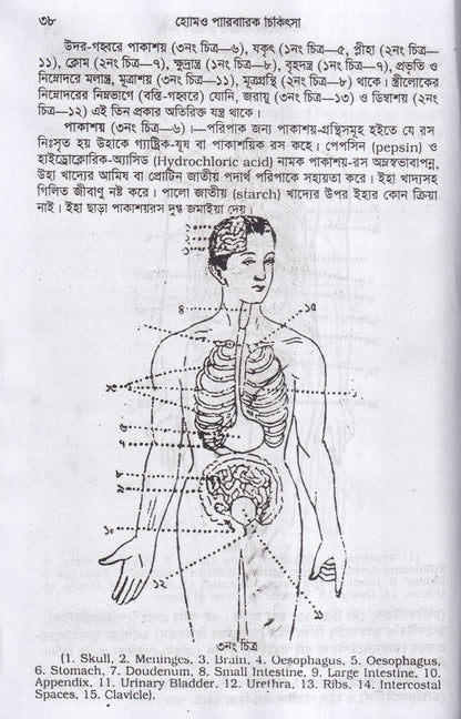 হোমিওপ্যাথিক পারিবারিক চিকিৎসা