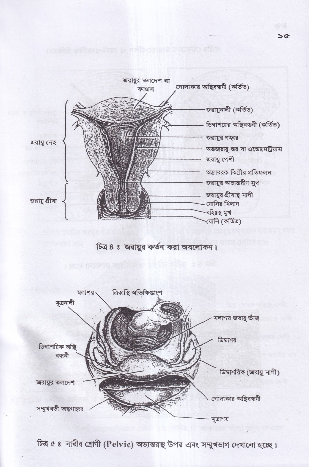নারীর যৌনরোগ ডায়াগনোসিস ও হোমিওপ্যাথিক চিকিৎসা