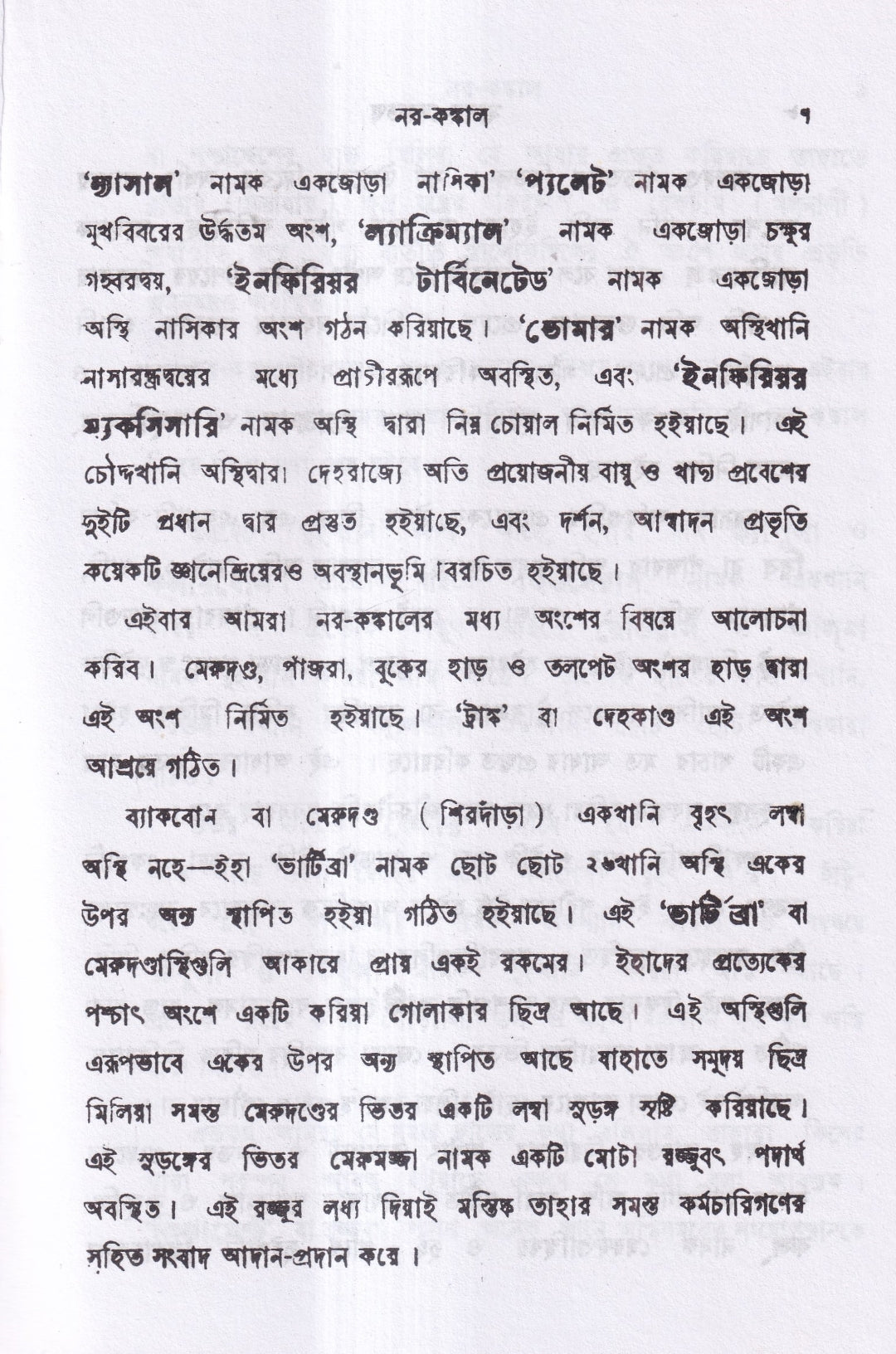 মানব দেহতত্ত্ব