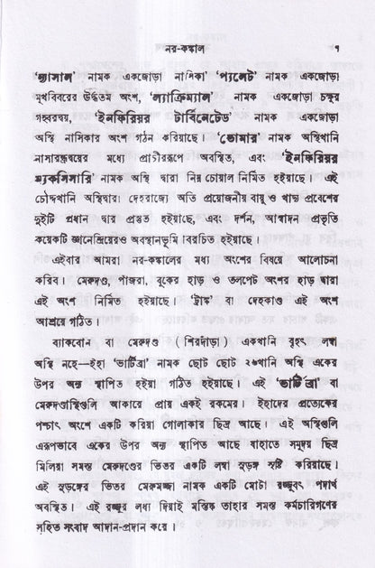 মানব দেহতত্ত্ব