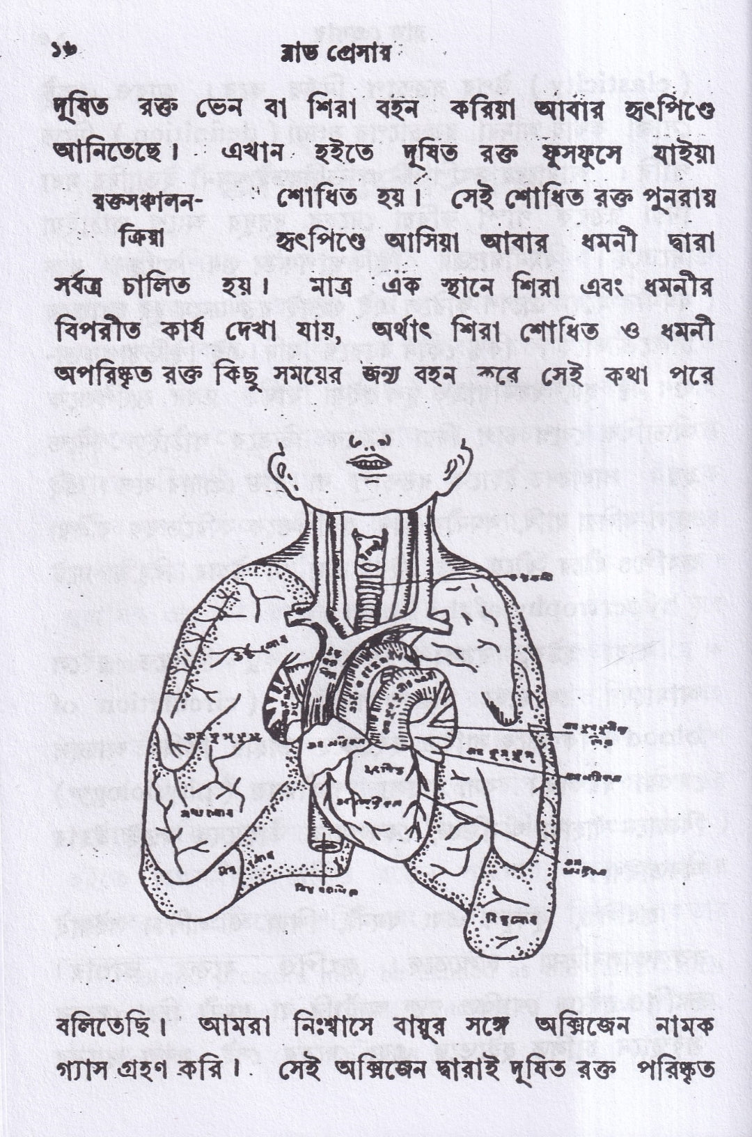 ব্লাড প্রেসার বা রক্তের চাপ