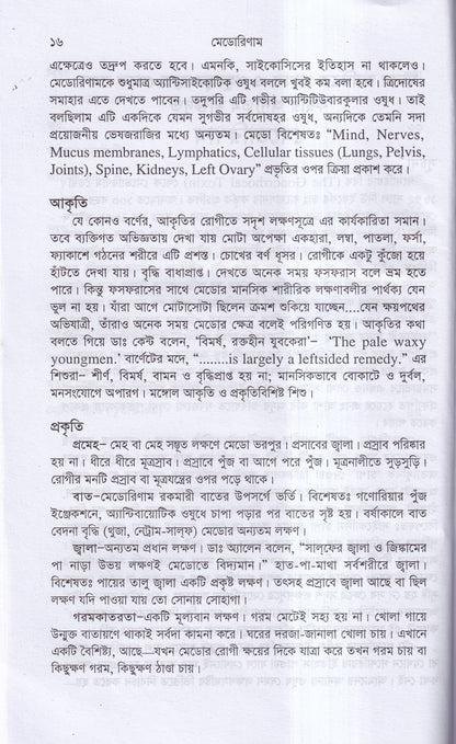 মেডোরিণাম