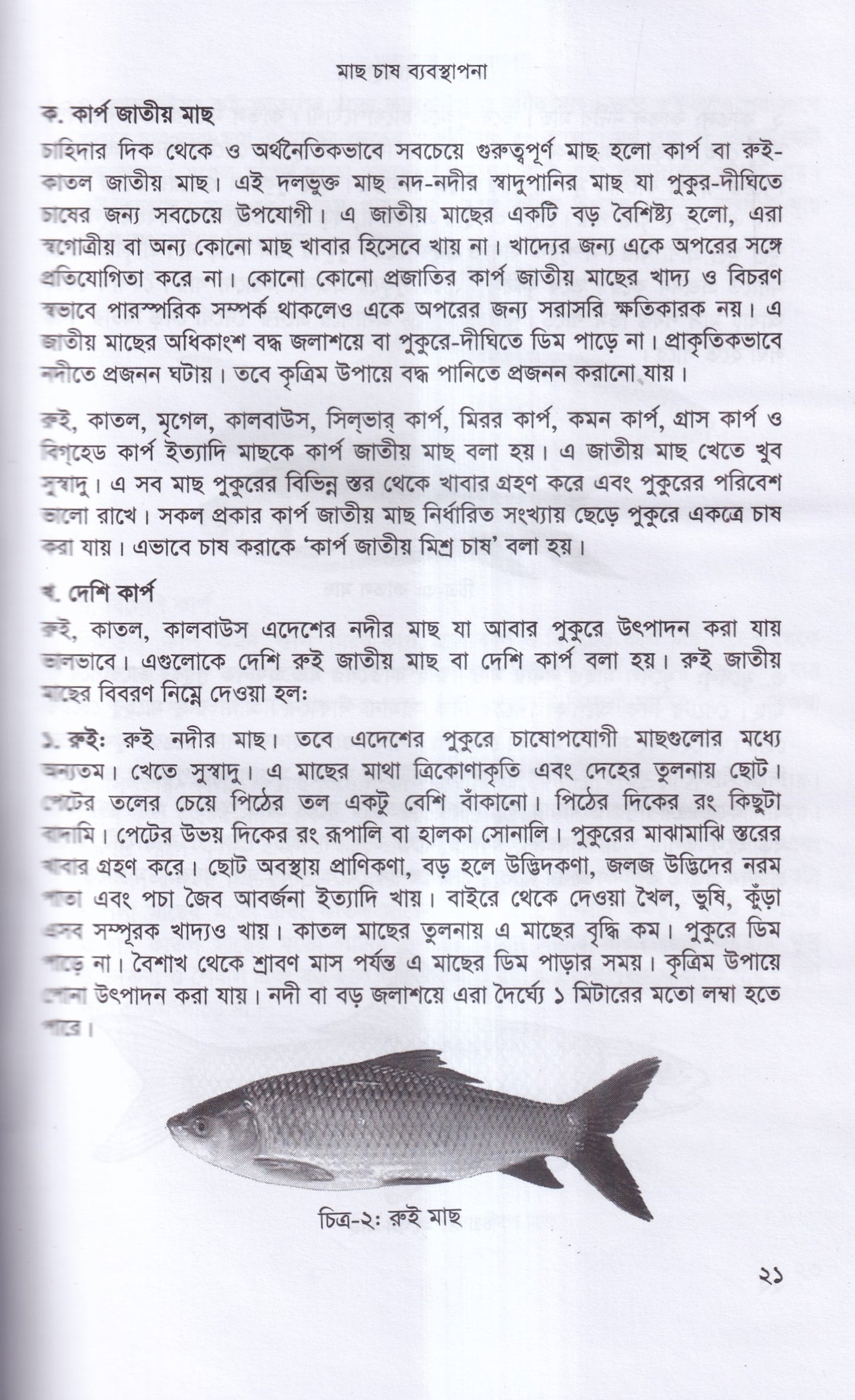 বাণিজ্যিক মাছ চাষ ও খামার ব্যবস্থাপনা