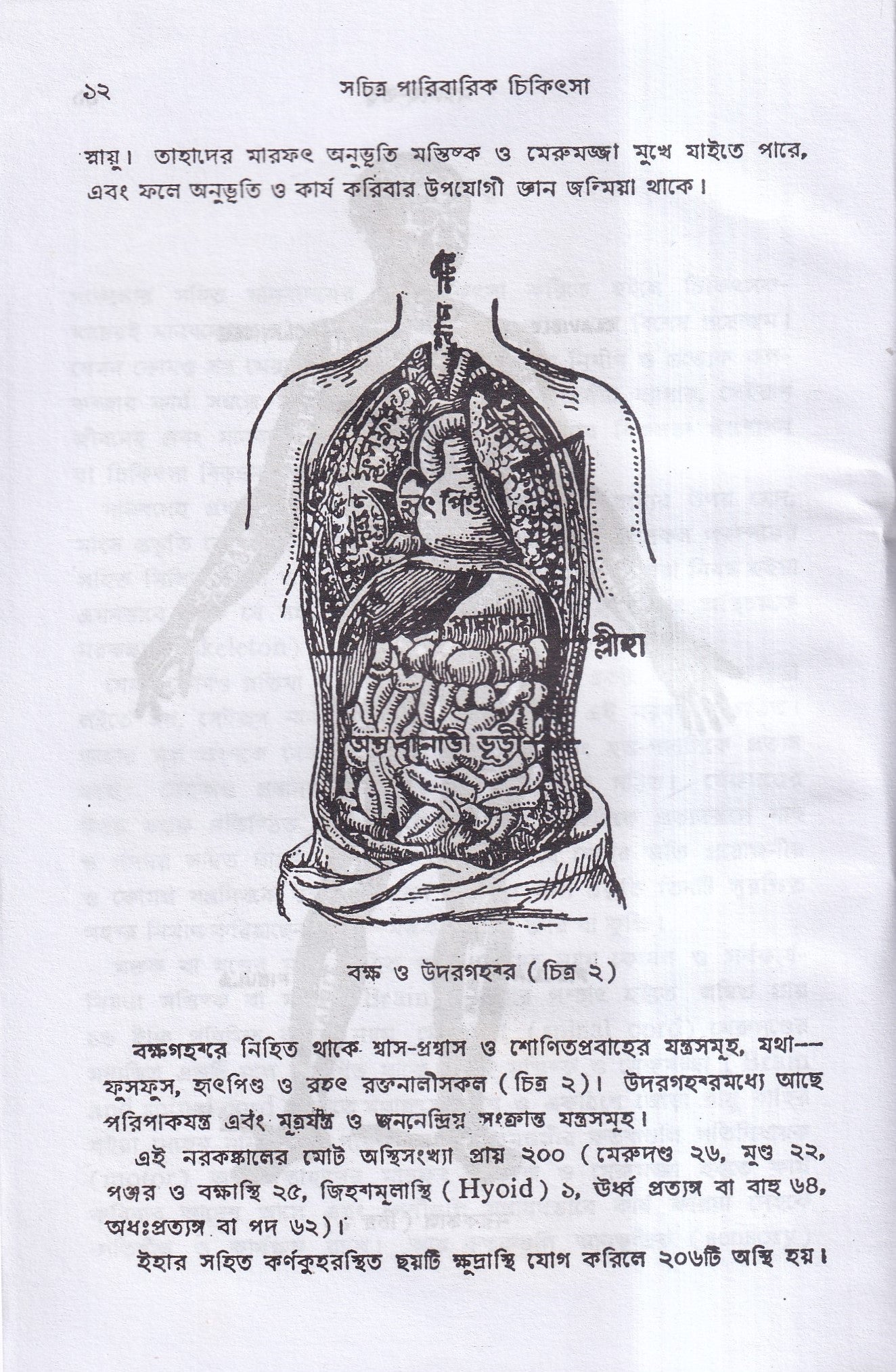 সচিত্র পারিবারিক চিকিৎসা
