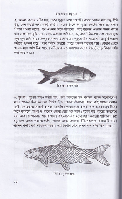 বাণিজ্যিক মাছ চাষ ও খামার ব্যবস্থাপনা