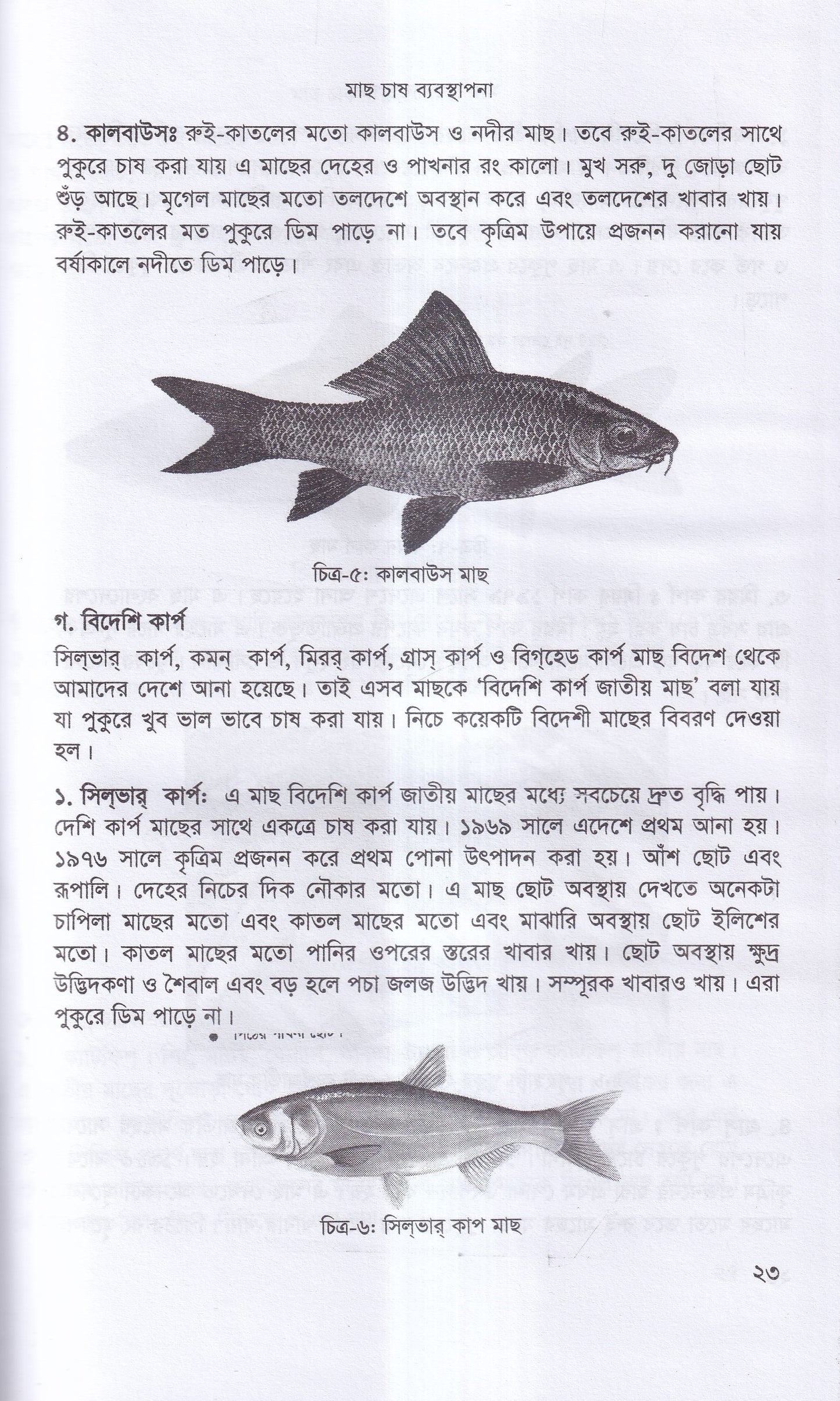 বাণিজ্যিক মাছ চাষ ও খামার ব্যবস্থাপনা