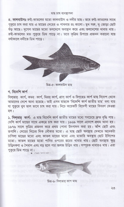 বাণিজ্যিক মাছ চাষ ও খামার ব্যবস্থাপনা