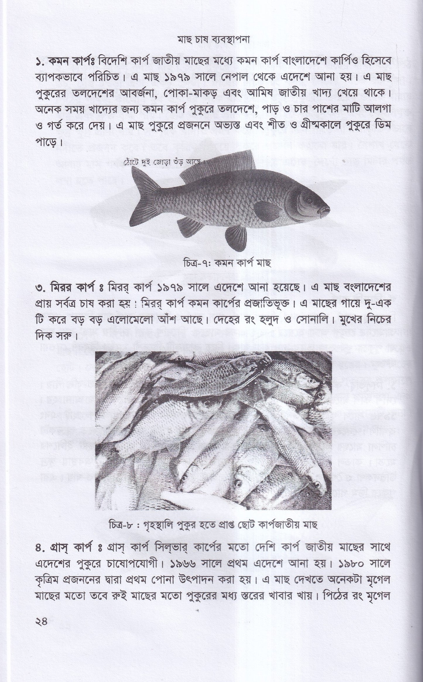 বাণিজ্যিক মাছ চাষ ও খামার ব্যবস্থাপনা