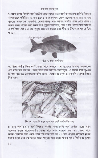 বাণিজ্যিক মাছ চাষ ও খামার ব্যবস্থাপনা