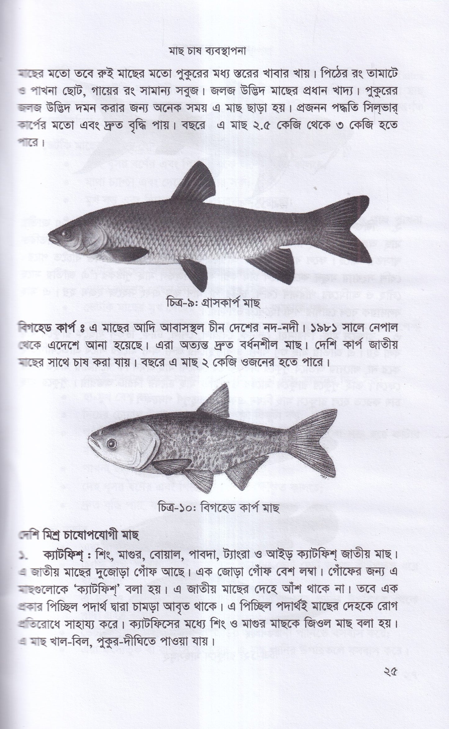 বাণিজ্যিক মাছ চাষ ও খামার ব্যবস্থাপনা