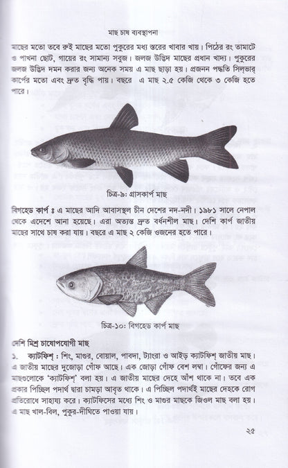 বাণিজ্যিক মাছ চাষ ও খামার ব্যবস্থাপনা