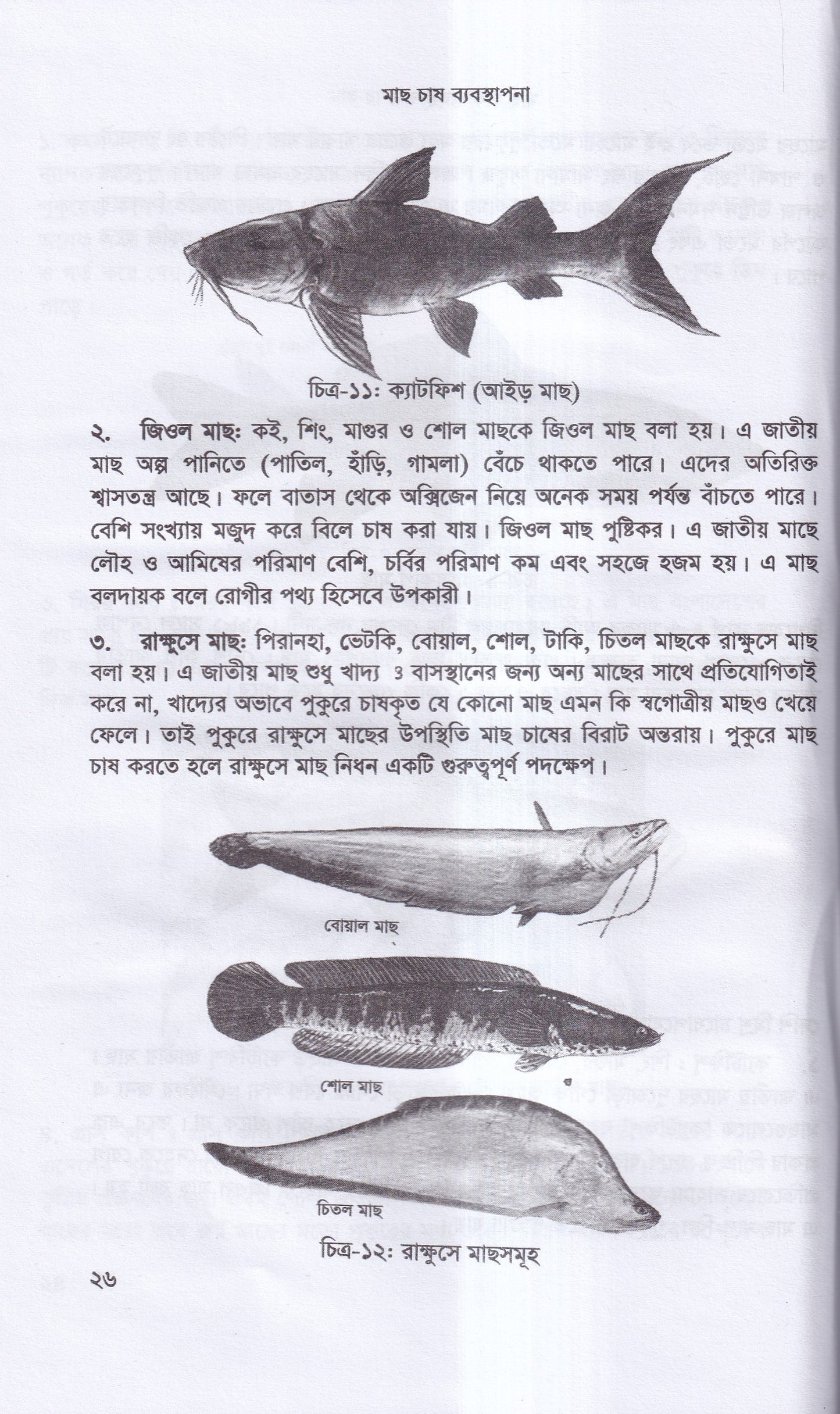 বাণিজ্যিক মাছ চাষ ও খামার ব্যবস্থাপনা