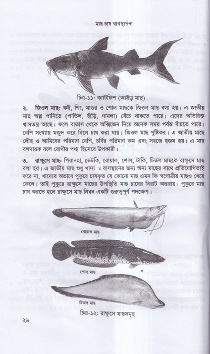 বাণিজ্যিক মাছ চাষ ও খামার ব্যবস্থাপনা