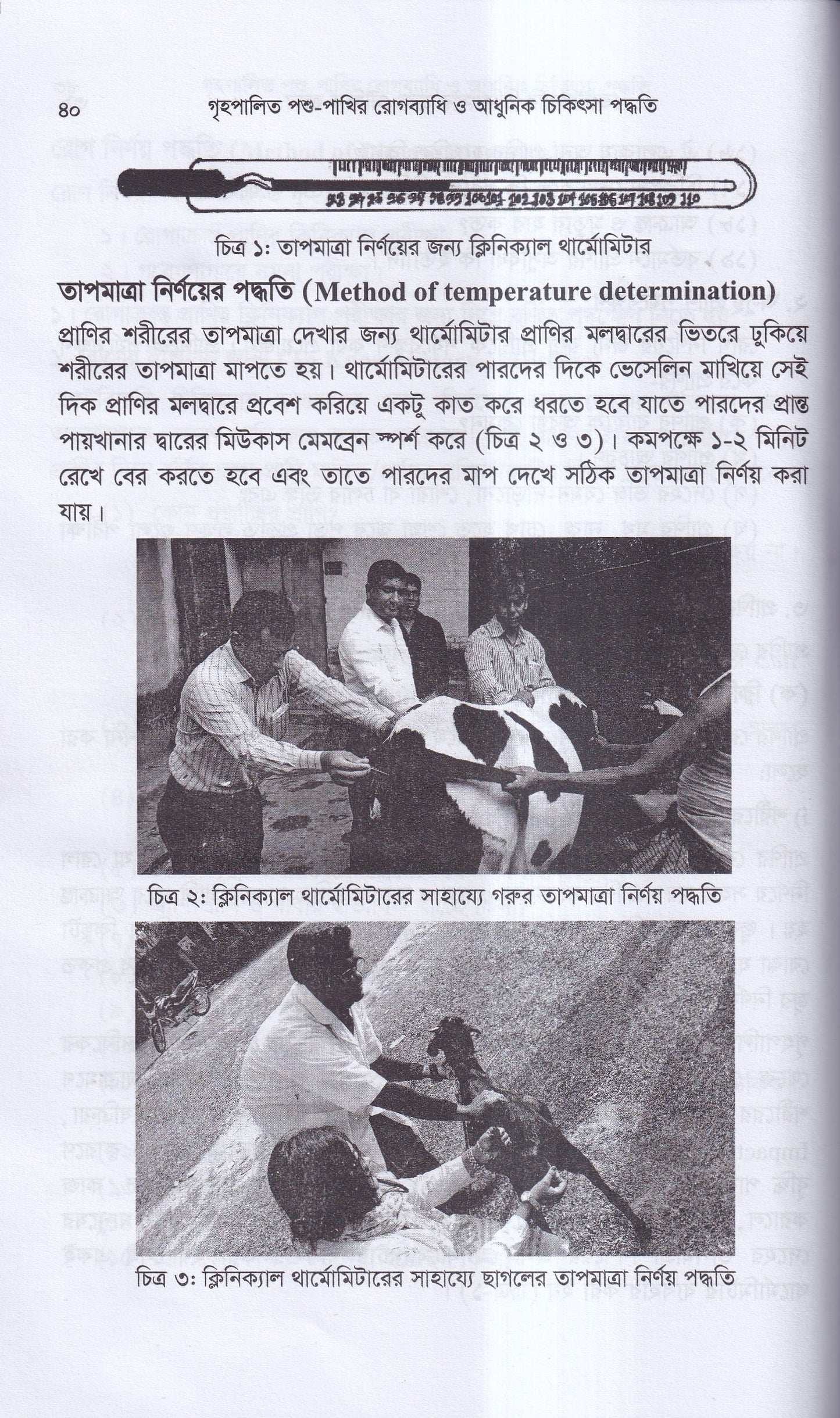 গৃহপালিত পশু-পাখির রোগব্যাধি ও আধুনিক চিকিৎসা পদ্ধতি
