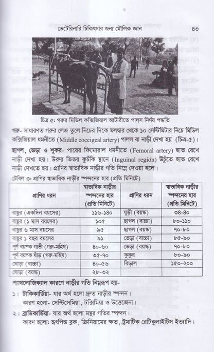 গৃহপালিত পশু-পাখির রোগব্যাধি ও আধুনিক চিকিৎসা পদ্ধতি