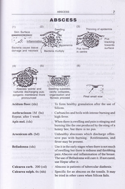 FIND YOUR REMEDY AN ILLUSTRATED HOMEOPATHIC GUIDE