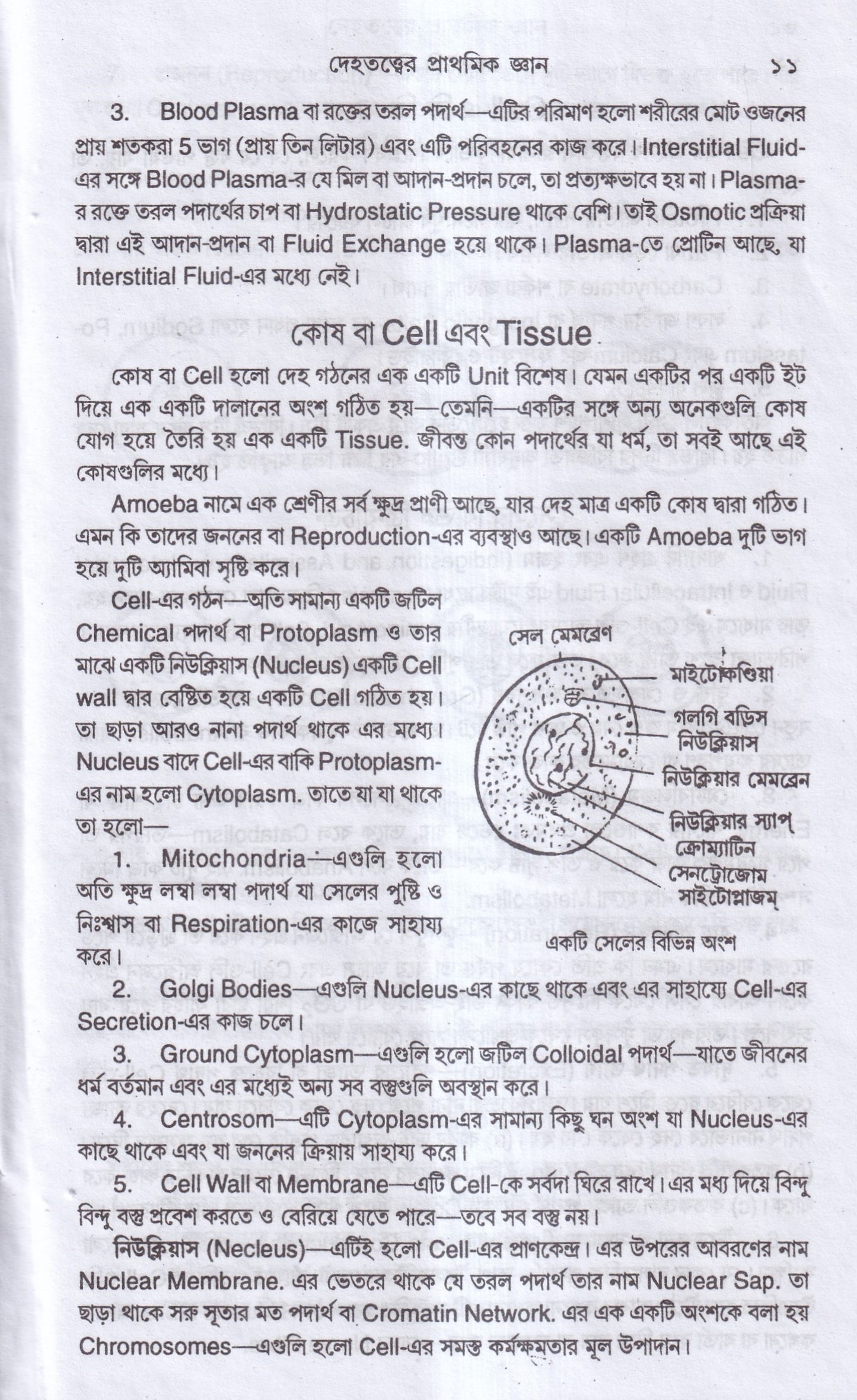 এন্যাটমি শিক্ষা