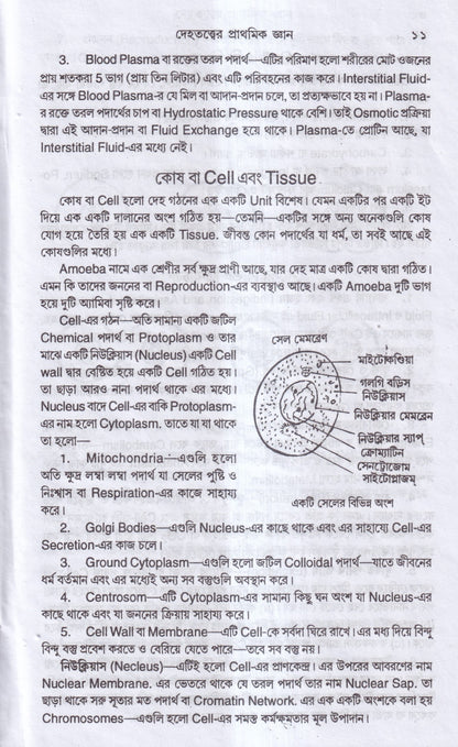 এন্যাটমি শিক্ষা