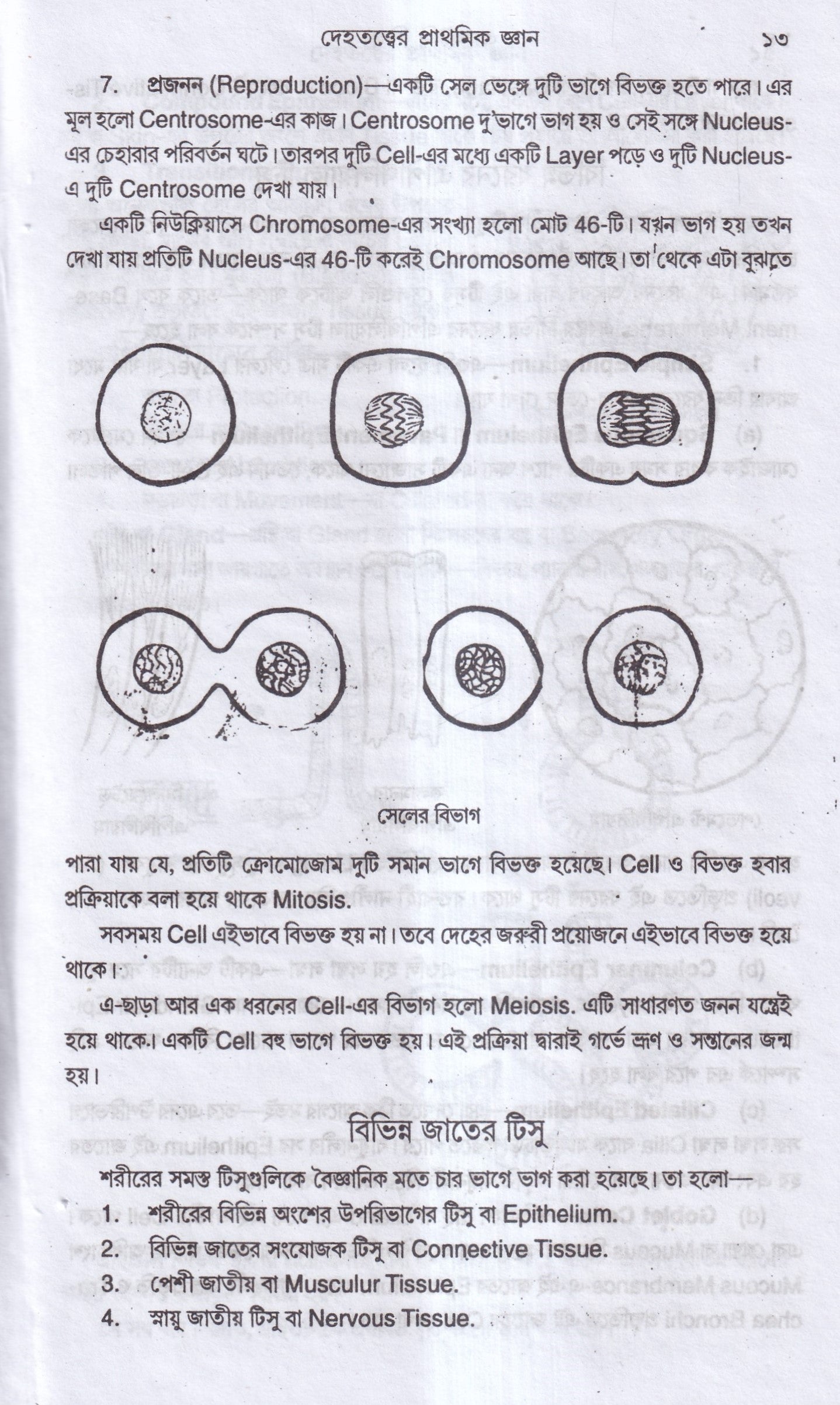 এন্যাটমি শিক্ষা