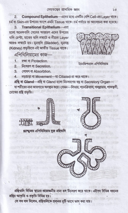 এন্যাটমি শিক্ষা