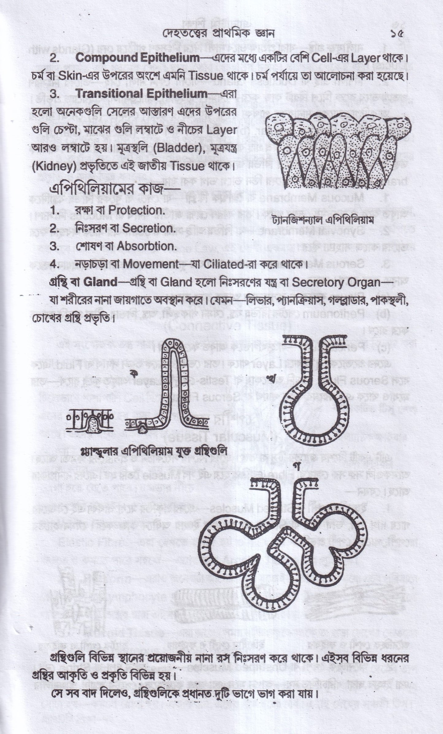 এন্যাটমি শিক্ষা