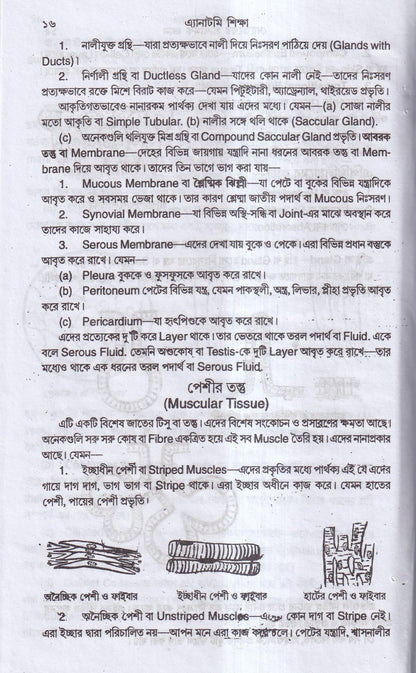 এন্যাটমি শিক্ষা