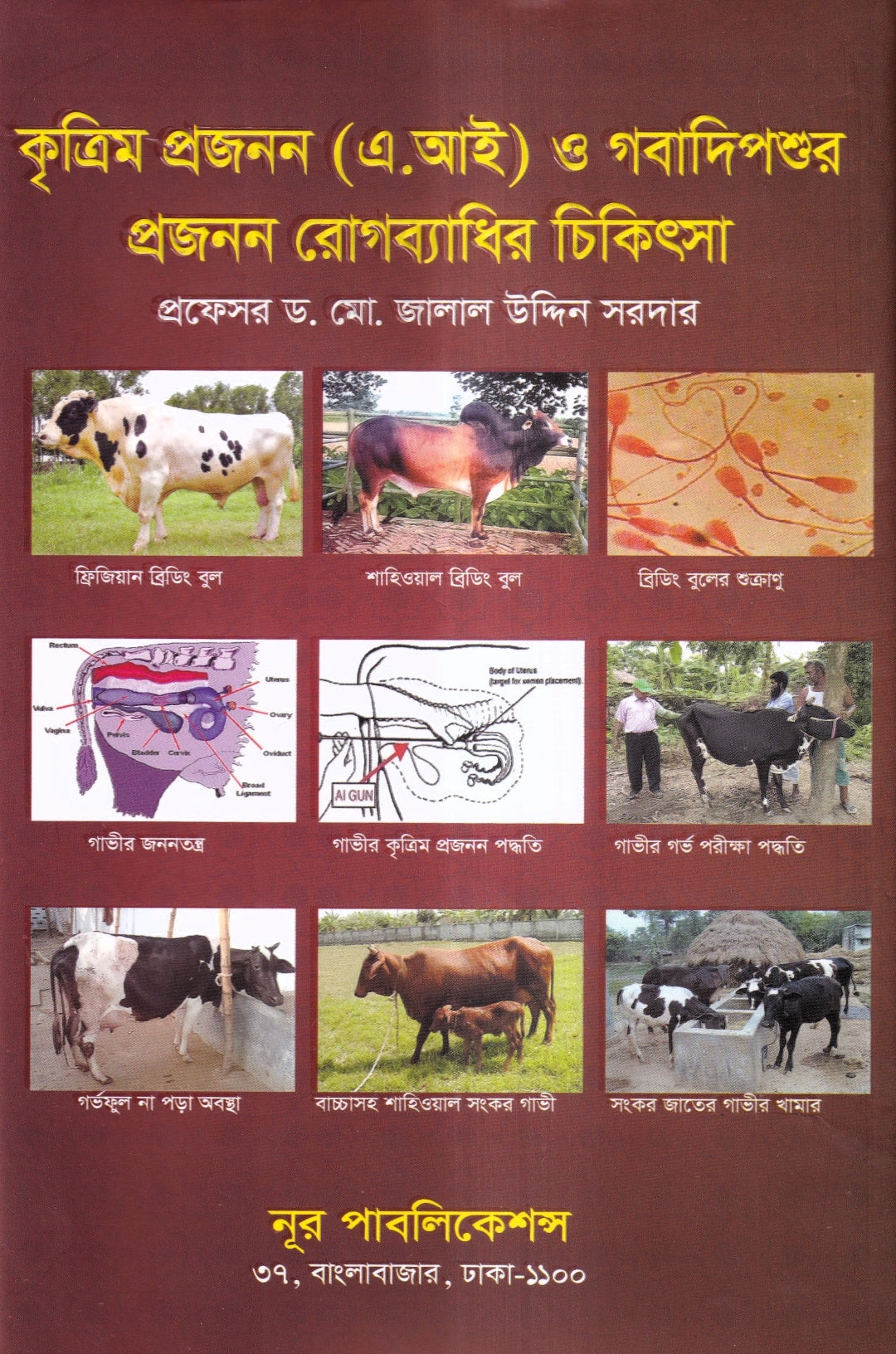 কৃত্রিম প্রজনন ( এ.আই) ও গবাদিপশুর প্রজনন রোগব্যাধির চিকিৎসা