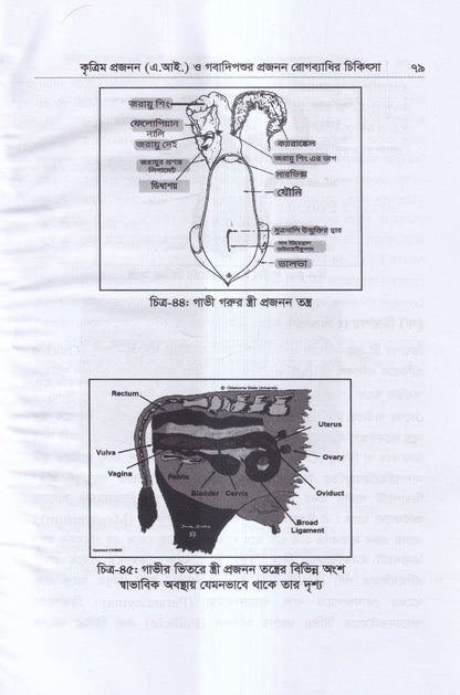 কৃত্রিম প্রজনন ( এ.আই) ও গবাদিপশুর প্রজনন রোগব্যাধির চিকিৎসা