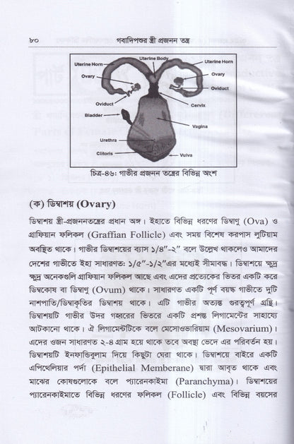 কৃত্রিম প্রজনন ( এ.আই) ও গবাদিপশুর প্রজনন রোগব্যাধির চিকিৎসা